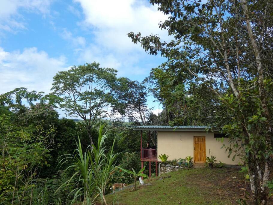 Апартаменты Tapiru'S House - Bahia Drake Драке Экстерьер фото