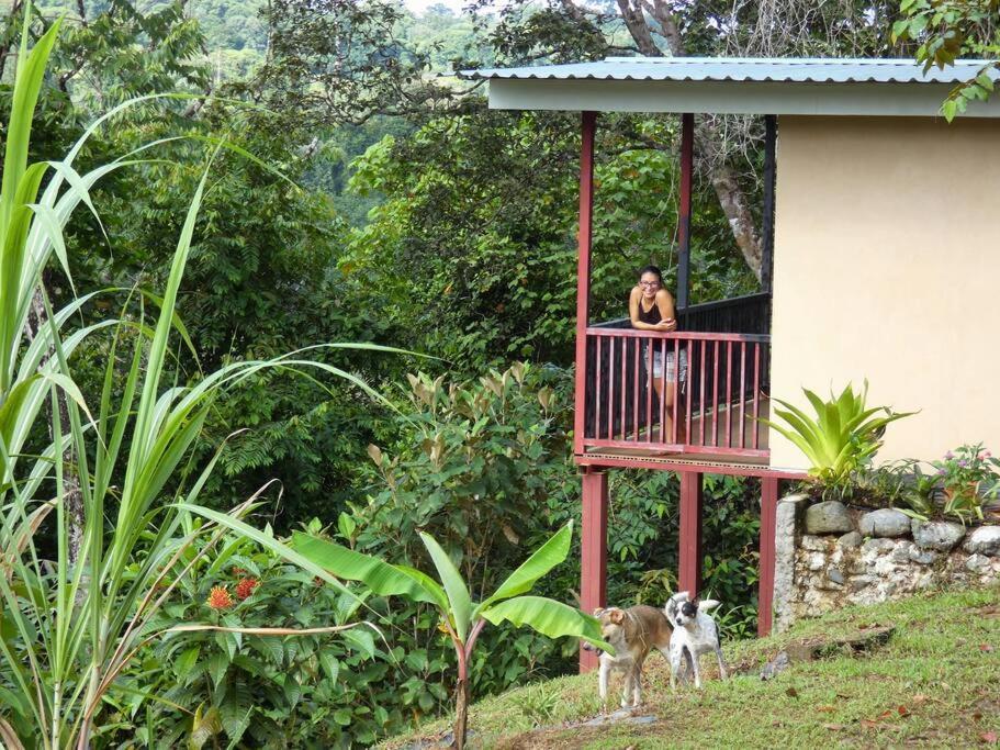 Апартаменты Tapiru'S House - Bahia Drake Драке Экстерьер фото
