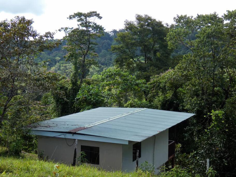 Апартаменты Tapiru'S House - Bahia Drake Драке Экстерьер фото